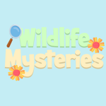 Wildlife Mysteries