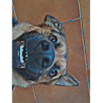 Sto #####
