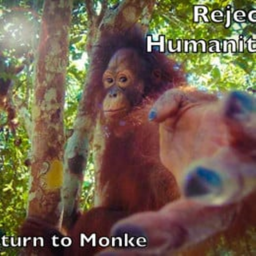 Goofy ahh monke game