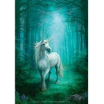 Magical Horses <3