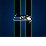 sea hawks cheer leading squad