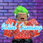 Wild Gaming