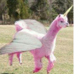 Llamacorns 07