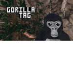 monke boissssss