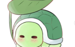 Official_turtle_team