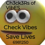 Ch3ck3Rs of VibES
