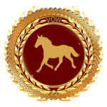 Τhe Equestrian Orderᅠ
