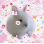 Bunnnii!!
