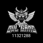 OWLS GANGS