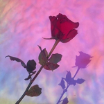 PastelxFlowers_03