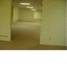 Backrooms Survival
