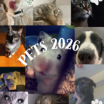 Pets :)