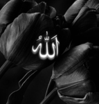 Ramadan kareem