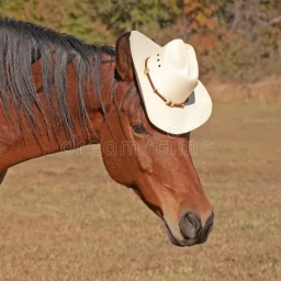 cowboys & horses icon