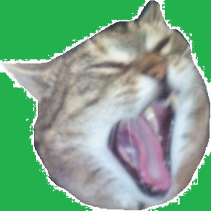 sleepy cat_X Roblox decal