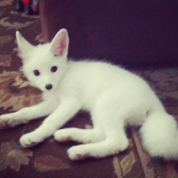  ฏ๎๎๎๎๎๎๎๎๎๎๎๎๎๎๎๎๎๎๎๎๎๎๎๎๎๎๎๎๎๎๎๎๎๎๎๎๎๎๎๎๎๎๎