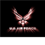 U.S.Falcons