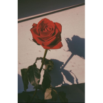 BubblyRose