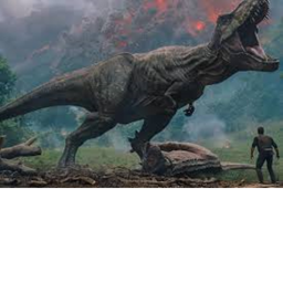 dino hide and seek place