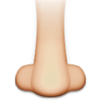 Nose Emoji Roblox decal