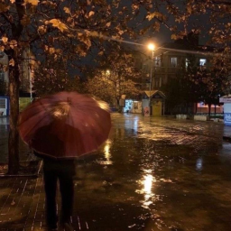🍂