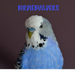 The Birdie Builders