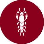 MFP | Wildlife actors