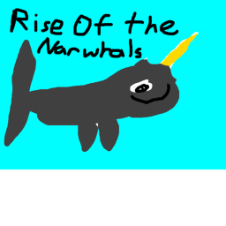 Narwhal Land