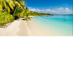 Sunshine Seashores