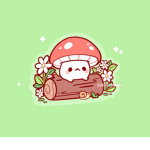 CANDYLIFETV12