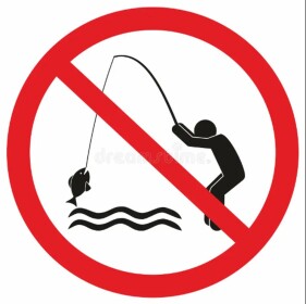 Dont Wake The Fish! (Soon...)