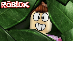 Hide n Seek