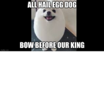 All Hail The Epic Egg Dog