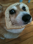 [---](=)[---]