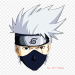 ninja_footballeur