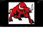 The crazy bulls group