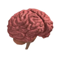 intellect icon
