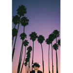 Aesthetic ~ Clothes ~ Roblox