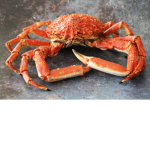 Crab crew people!