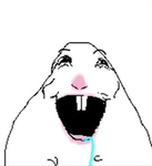Haeli agalar xd