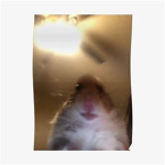 HAmster MaN 123456789