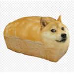 Super funny meme group
