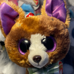 [- Beanie Boo Fan Club -]
