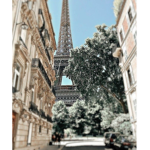 • aesthetic Paris •