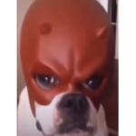 sir doge group