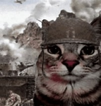The Cat Army that likes chicken nuggets