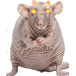 Demon Rat Army