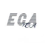 Evolution Cheerleading Association Group Thumbnail