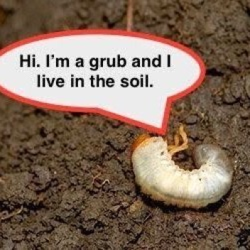 untitles\d Unfinished