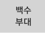 백수부대